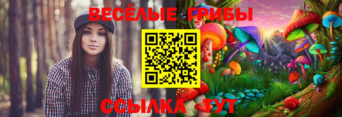 Галлюциногенные грибы ЛСД Углич