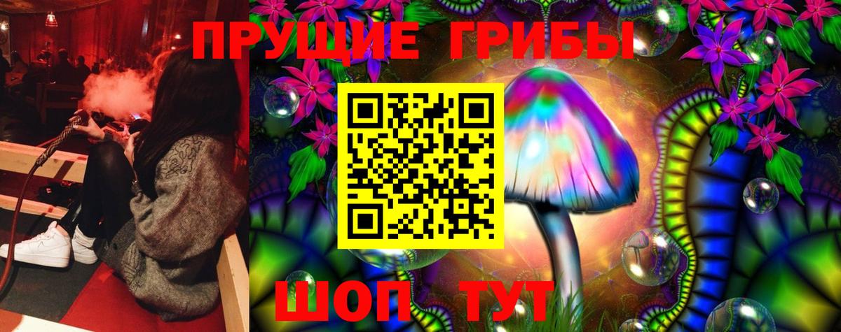 хочу   Вход с VPN  Псилоцибиновые грибы Psilocybine cubensis  Углич  Псилоцибиновые грибы GOLDEN TEACHER 